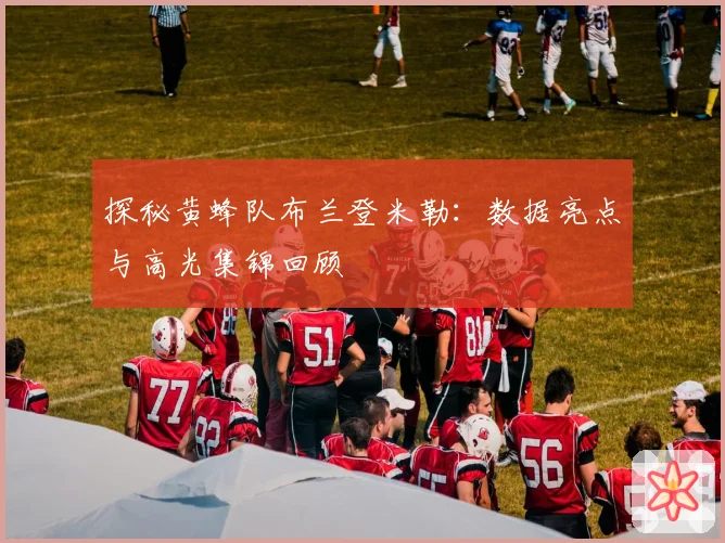 探秘黄蜂队布兰登米勒：数据亮点与高光集锦回顾