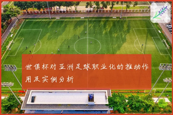 世俱杯对亚洲足球职业化的推动作用及实例分析