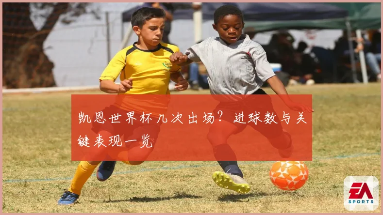 凯恩世界杯几次出场？进球数与关键表现一览